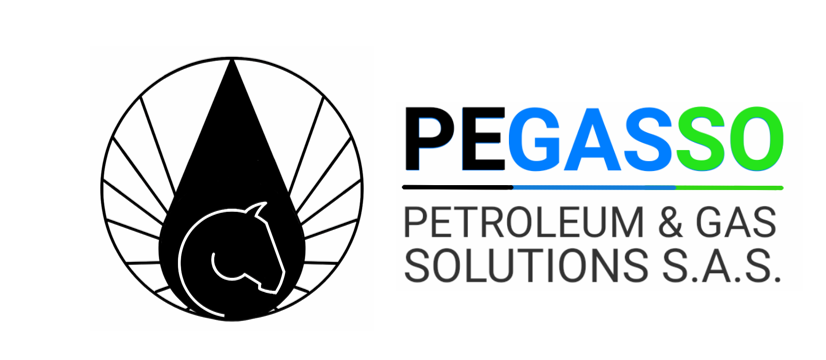 Pegasso Group